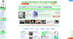 Desktop Screenshot of nanzu.jp